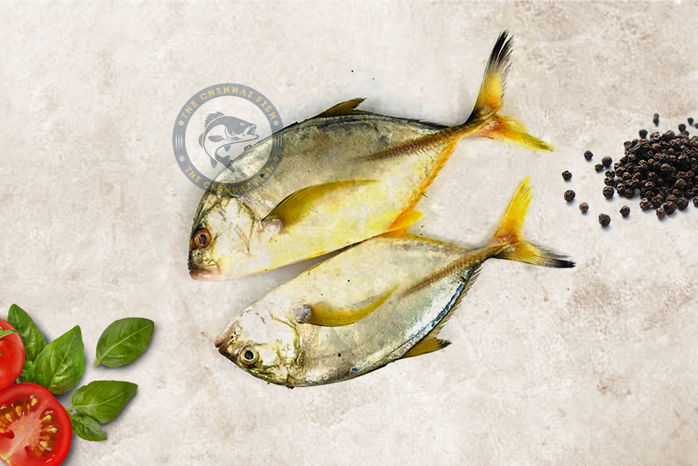 Para / பாறை மீன் - (500g)